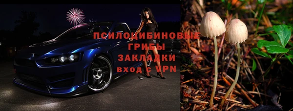 альфа пвп Медвежьегорск