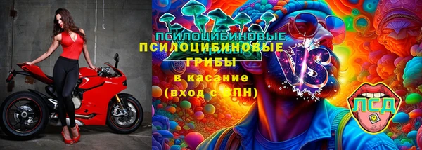 ГАЛЛЮЦИНОГЕННЫЕ ГРИБЫ Медногорск
