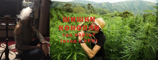 альфа пвп Медвежьегорск