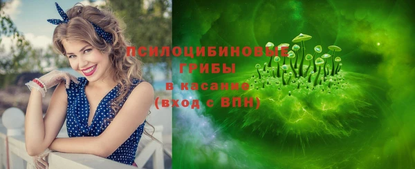 ГАЛЛЮЦИНОГЕННЫЕ ГРИБЫ Магадан
